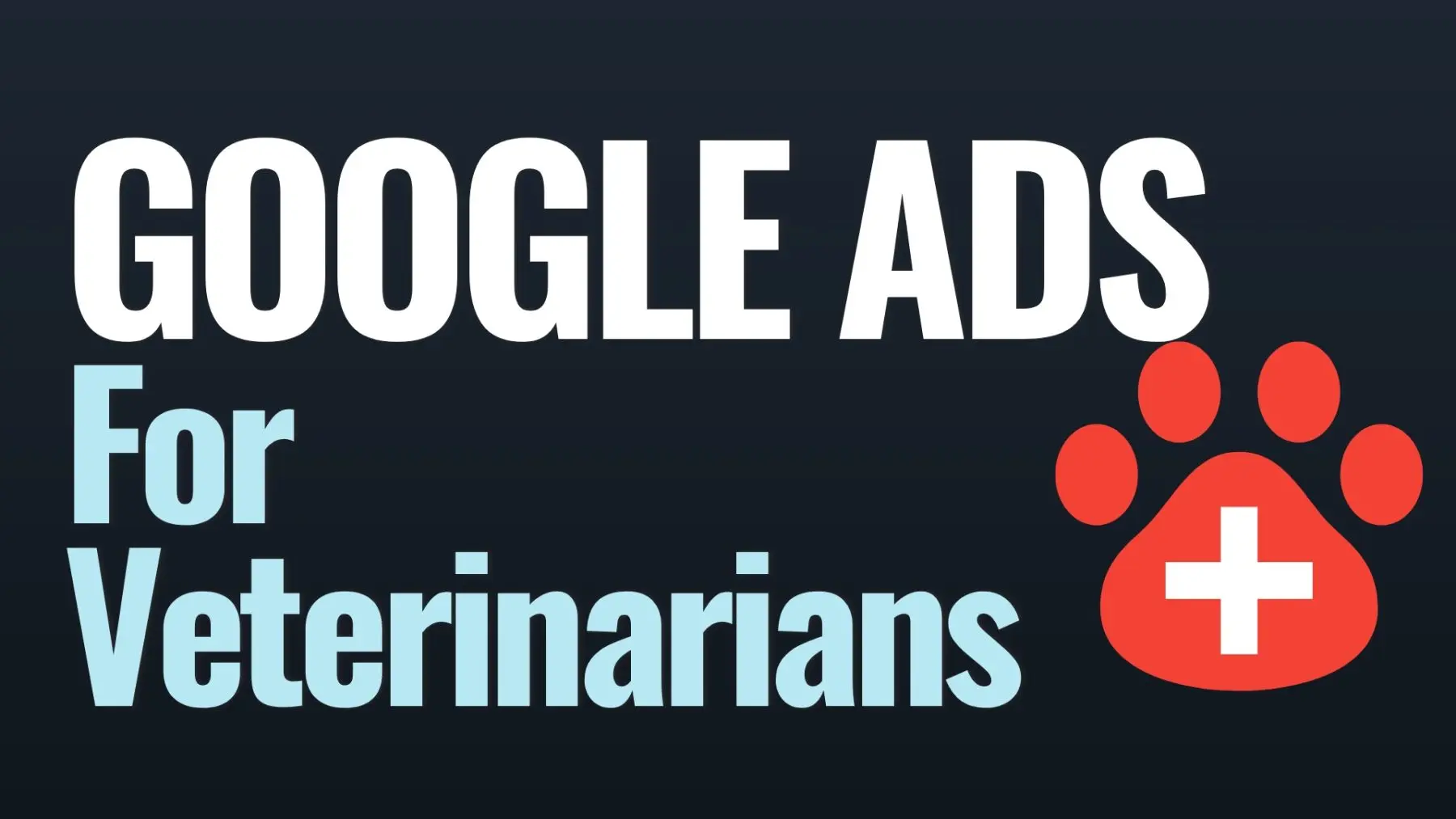 How Veterinarians Can Use Google Ads To Increase Clients In 2024
